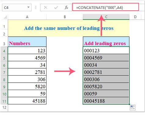 How to Properly Format a Number With Leading Zeros in .